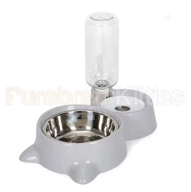 Purring Pet Water Fountain and Feeder