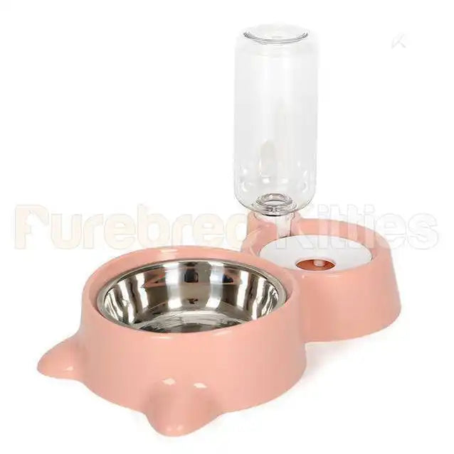 Purring Pet Water Fountain and Feeder
