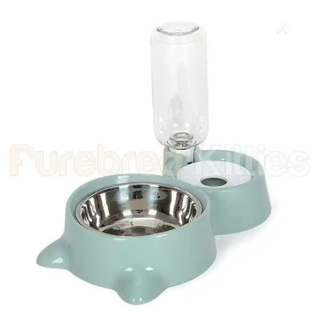 Purring Pet Water Fountain and Feeder