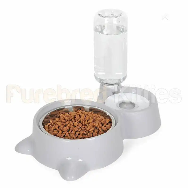 Purring Pet Water Fountain and Feeder