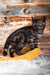 Quest | scottish straight kitten