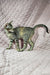 Gray tabby cat with stripes in the Quiqui Oriental Shorthair Kitten product