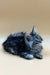 Fluffy gray Maine Coon kitten with bright blue eyes lounging cutely