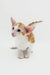 Cute orange and white Oriental Shorthair kitten with big ears for Rasseell