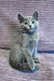 Gray Russian Blue kitten with blue eyes sitting on corduroy fabric