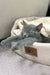 Grey cat snoozing in a cozy cream pet bed, perfect for Reksy | Russian Blue Kitten