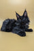 Black Maine Coon cat with long fur and ear tufts in the Samya Maine Coon Kitten product