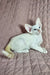 White Siamese kitten with blue eyes lounging for Simba | Oriental Shorthair Kitten