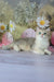 Stepan | british shorthair kitten