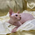 Hairless Sphynx kitten Stephen chilling on soft fabric, perfect cuddle buddy for all!