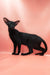 Teоdore | oriental shorthair kitten