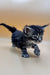 Fluffy gray tabby polydactyl Maine Coon kitten with raised paw and alert look