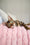 Thea | Bengal Kitten