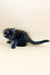 Thea | maine coon kitten