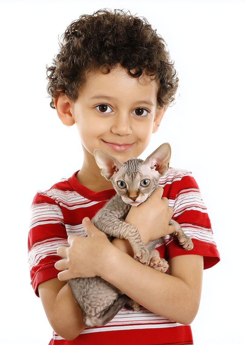 Cat Image