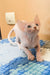 Ulissa | canadian sphynx kitten