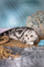 Gray and white tabby cat in Unicum Scottish Fold Kitten product display