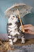 Striped Scottish Fold kitten chilling under a lace umbrella, super cute vibe