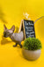 Hairless Sphynx cat beside a chalkboard sign and a plant, showcasing an excellent breed