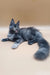 Gray Maine Coon cat lounging with a fluffy tail, perfect for your Maine Coon Kitten needs