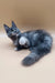 Gray long-haired Maine Coon kitten with white chest patch lying down adorably