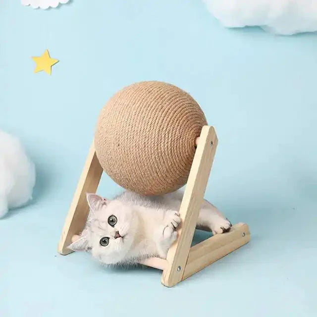 White kitten playing under a Wooden Scratching Ball, showcasing its playful spirit