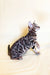 Silver Bengal cat showcasing spotted tabby markings in side profile for Xanti Bengal Kitten