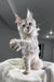 Cute Silver Tabby Maine Coon Kitten from Yashma collection, ready to steal your heart