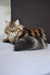 Long-haired tabby cat with brown and gray fur chilling for Yudzhin Siberian Kitten