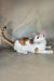 Zefir | oriental shorthair kitten