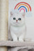 Adorable white British Shorthair kitten named Zelya with big expressive eyes