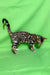 Adorable Spotted Bengal cat from Zephir Bengal Kitten collection, ready to play